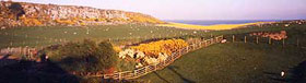 View from Howick Scar farm house