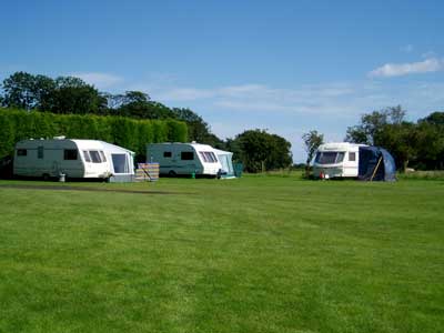Proctor's Stead Camping and Caravanning Park